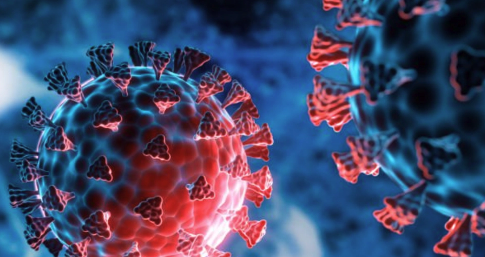 RL for Stochastic Vaccine Allocation on Contact Networks