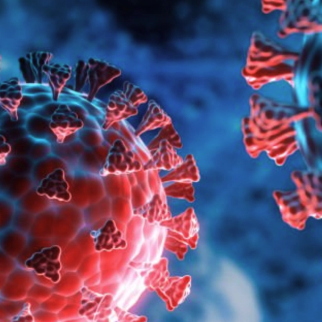 RL for Stochastic Vaccine Allocation on Contact Networks